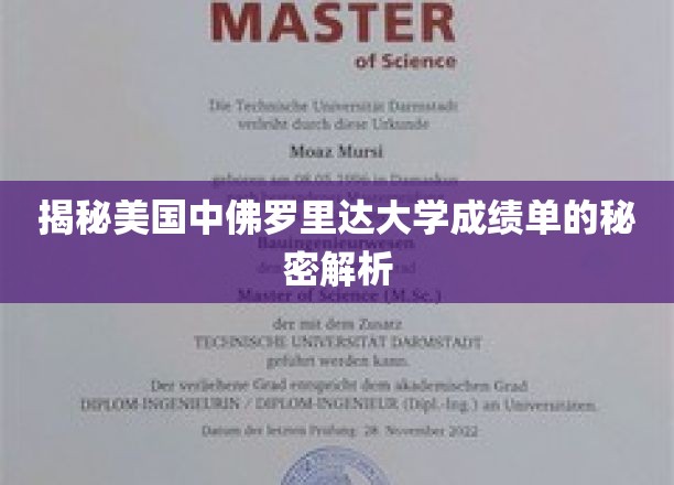 解码美中佛罗里达大学成绩单背后的学术奥秘