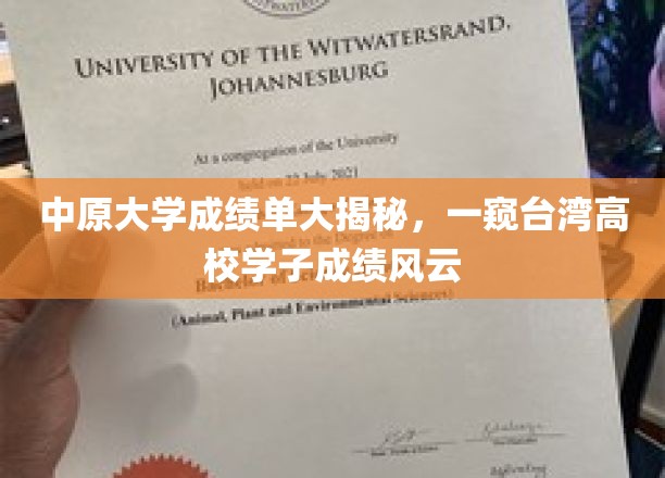 中原大学成绩单大揭秘，一窥台湾高校学子成绩风云