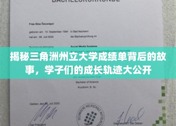 揭秘三角洲州立大学成绩单背后的故事，学子们的成长轨迹大公开