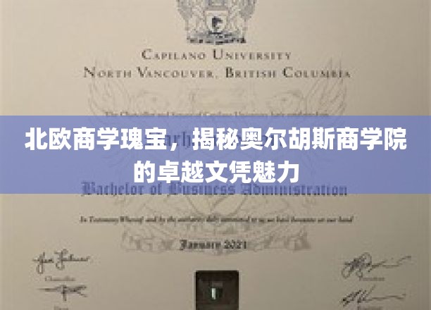 北欧商学瑰宝，揭秘奥尔胡斯商学院的卓越文凭魅力