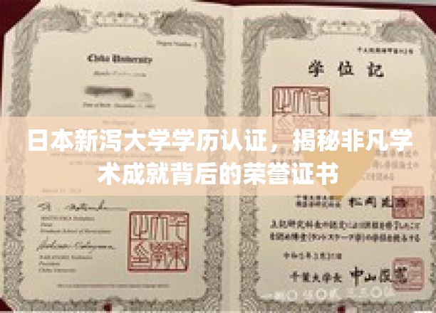 新泻大学荣耀证照，探索非凡学术成就背后的日本学历认证之谜