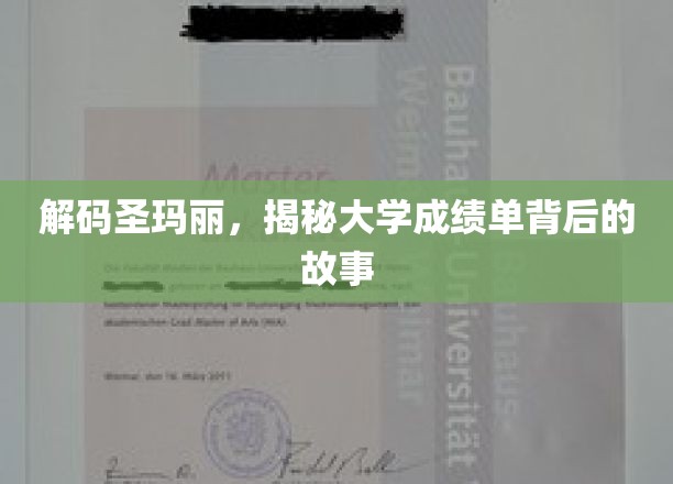 揭开圣玛丽大学成绩单的神秘面纱，探寻背后的学术传奇