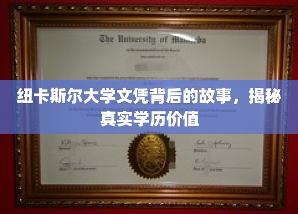 探寻纽卡斯尔大学文凭的神秘面纱，解码学历的真实价值