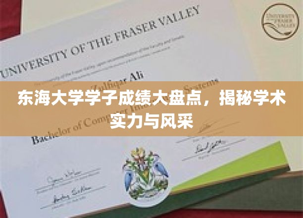 东海骄子荣耀榜，揭秘东海大学学子学术成就与风采展