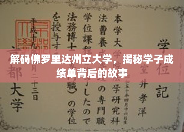 探寻佛罗里达州立大学成绩单的奥秘，学子奋斗之路全景呈现
