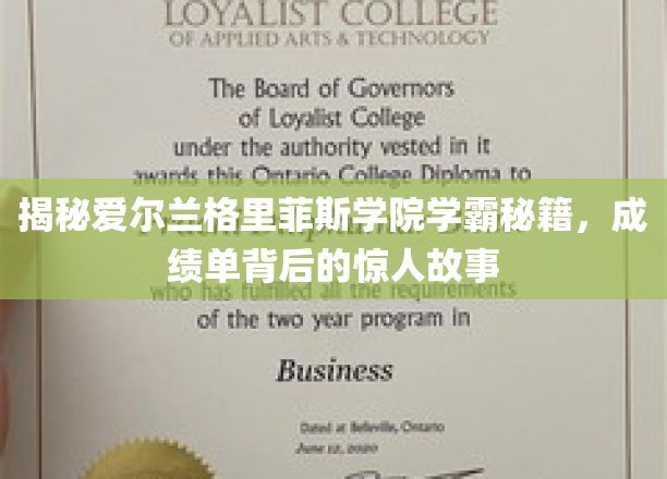 揭秘爱尔兰格里菲斯学院学霸秘籍，成绩单背后的惊人故事
