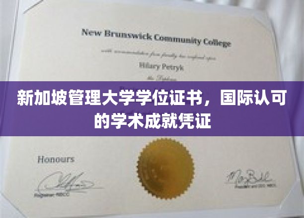 跨国通行证，新加坡管理大学学位证书，开启全球认可的教育之旅