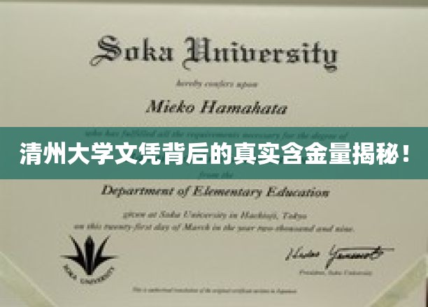 揭秘清州大学文凭背后的真实含金量！