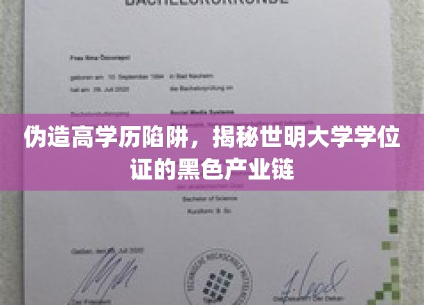 学历伪造背后的灰色地带，世明大学学位证产业链大揭秘