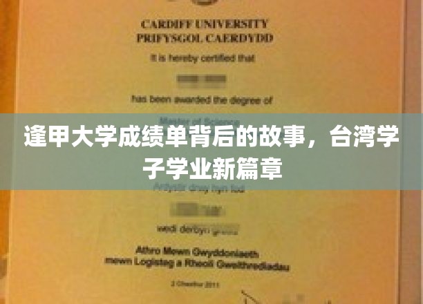逢甲大学成绩单背后的故事，台湾学子学业新篇章