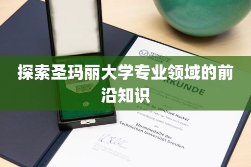 探索圣玛丽大学专业领域的前沿知识