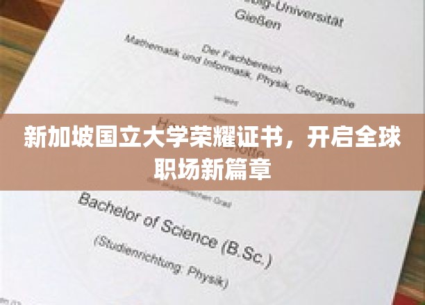 新加坡国立大学荣耀证书，开启全球职场新篇章