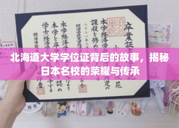 解码北海道大学荣耀，学位证背后的传奇传承