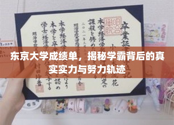 东京大学成绩单，揭秘学霸背后的真实实力与努力轨迹