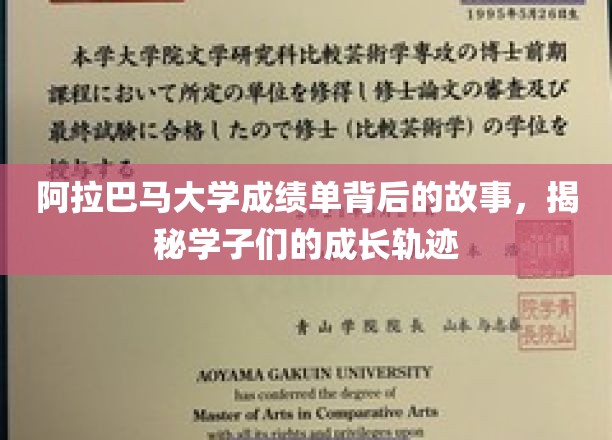 阿拉巴马大学成绩单背后的故事，揭示学子们的成长轨迹
