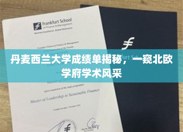 探秘北欧精英学府，丹麦西兰大学成绩单背后的学术魅力