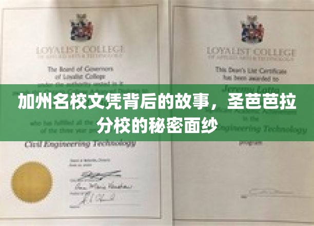 加州名校文凭背后的故事，圣芭芭拉分校的秘密面纱