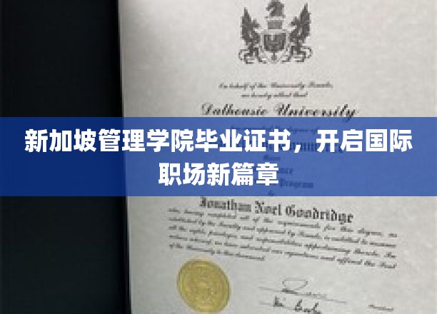 新航向，新加坡管理学院证书助力职场国际飞跃