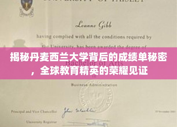 揭秘丹麦西兰大学背后的成绩单秘密，全球教育精英的荣耀见证