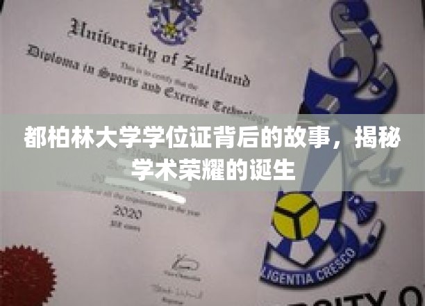 都柏林大学学位证背后的故事，揭秘学术荣耀的诞生