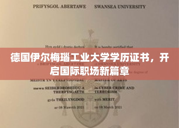 德国伊尔梅瑙工业大学学历证书，开启国际职场新篇章