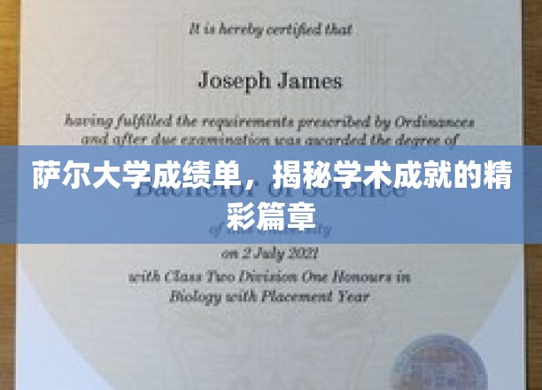 探寻萨尔大学学子卓越成就的秘密档案