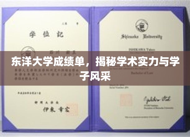 东洋大学风采录，一纸成绩单见证学术实力与学子风采