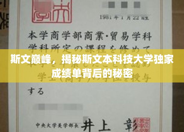 斯文本科技，揭秘顶尖学府成绩单背后的非凡奥秘