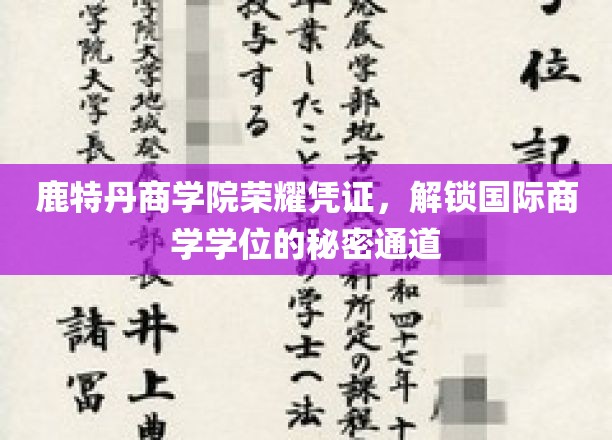鹿特丹商学院独门秘钥，解锁国际商学学位的璀璨之路