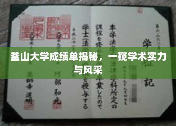解码釜山大学，揭秘学霸背后的学术辉煌