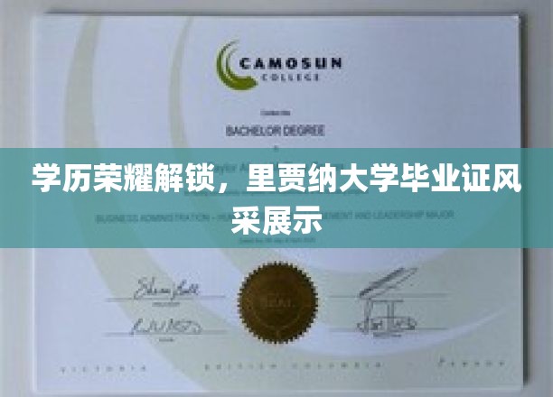毕业荣耀绽放，里贾纳大学证照风采大公开