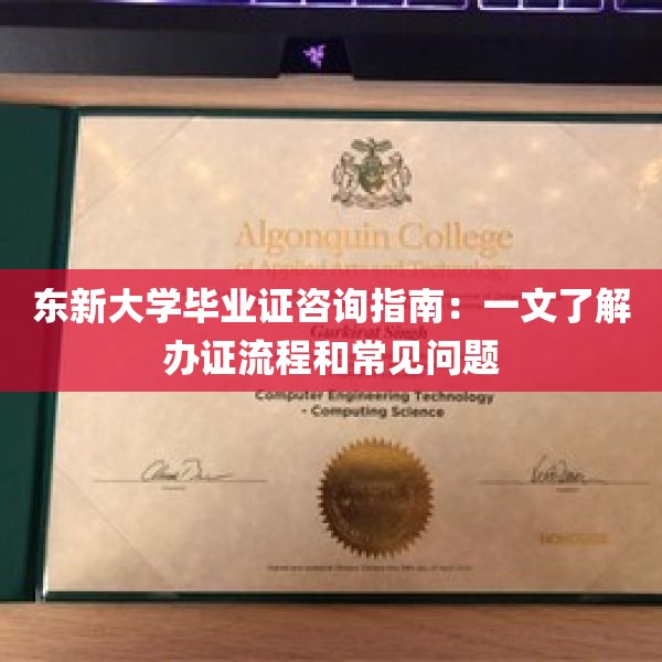 东新大学毕业证咨询指南：一文了解办证流程和常见问题