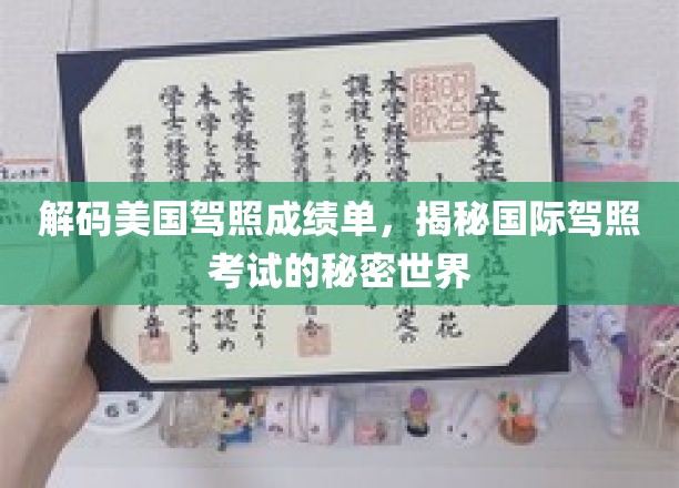 解码美国驾照成绩单，揭开国际驾照考试神秘面纱
