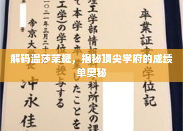 揭开温莎精英学府的卓越成就之谜