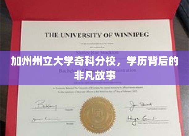 加州州立大学奇科分校，学历背后的非凡故事