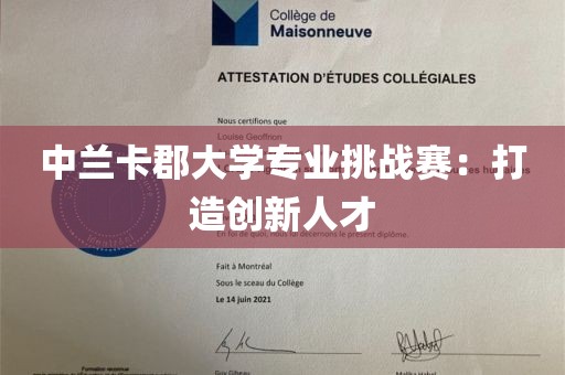 中兰卡郡大学专业挑战赛：打造创新人才