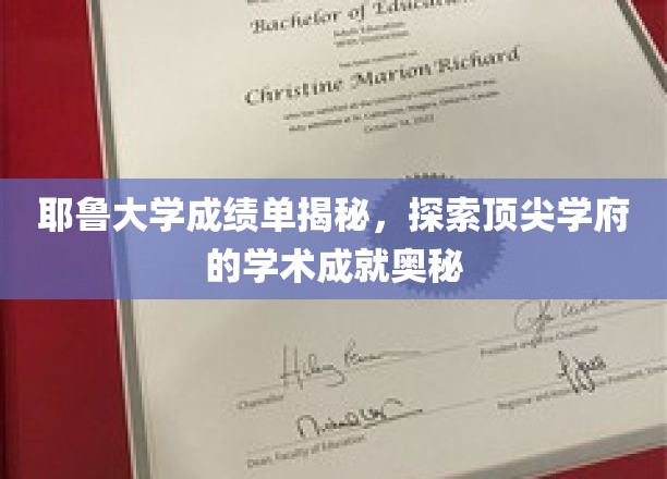 耶鲁学霸秘籍，解码顶级学府的卓越学术之路