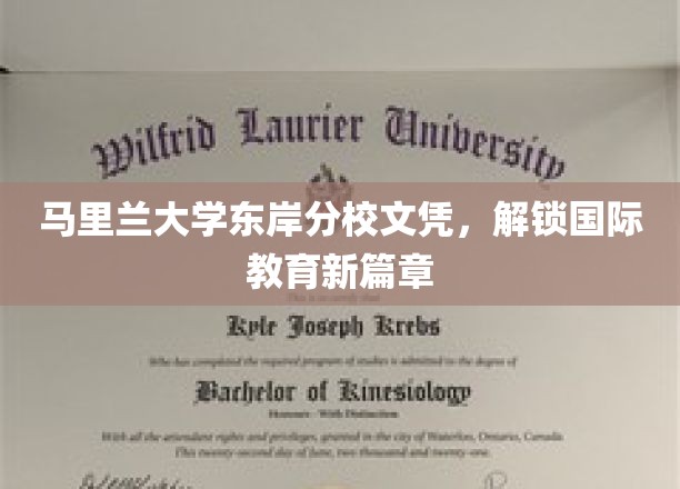 跨国学历新起点，马里兰大学东岸分校文凭引领教育新视野