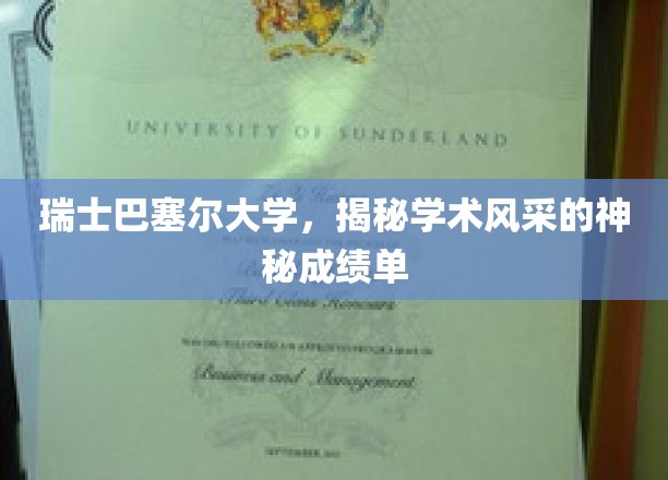 瑞士巴塞尔大学，揭秘学术风采的神秘成绩单