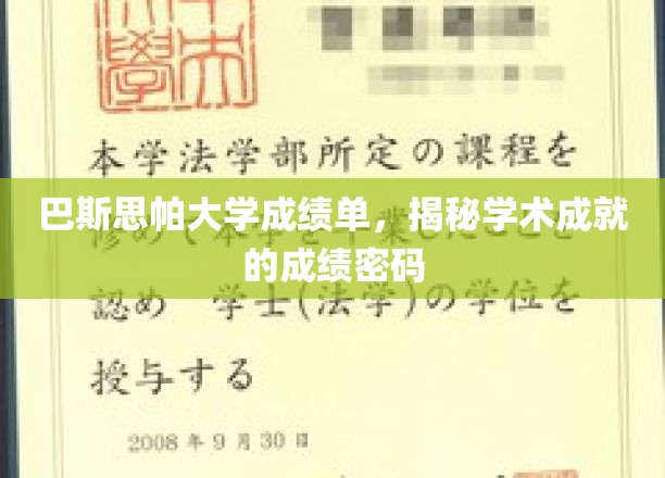 解码巴斯思帕大学，一窥学术卓越的秘密指标