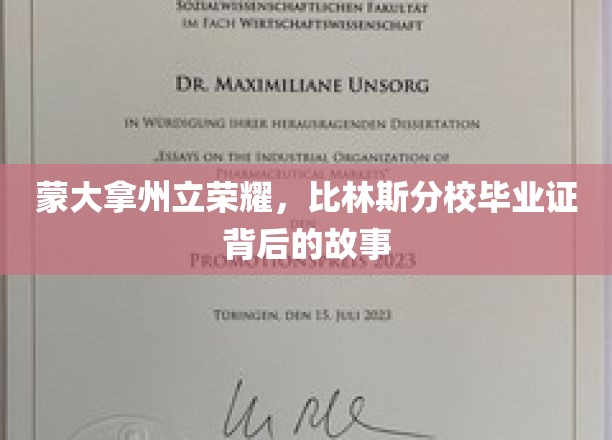 蒙大拿荣耀之光，揭秘比林斯分校毕业证的传奇历程