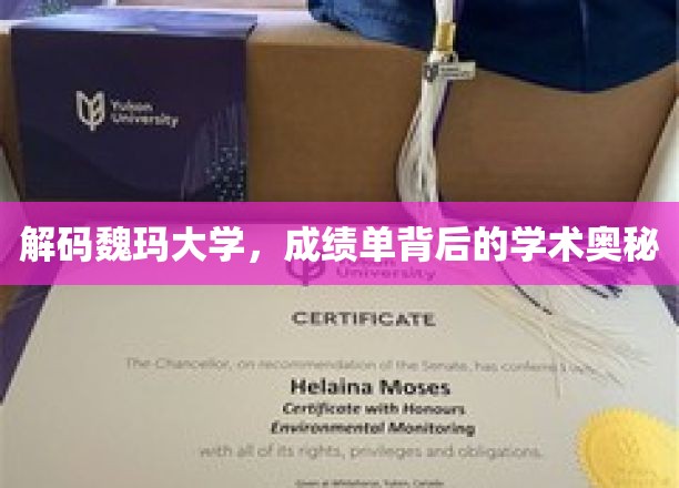探寻魏玛大学，成绩单背后的学术神秘面纱