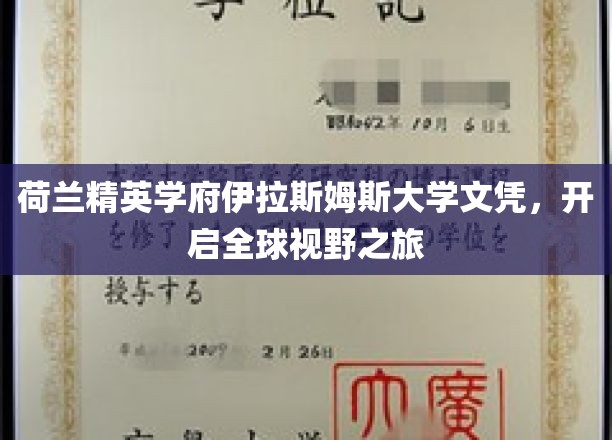 跨国梦想启航，伊拉斯姆斯大学文凭，拓宽世界教育版图