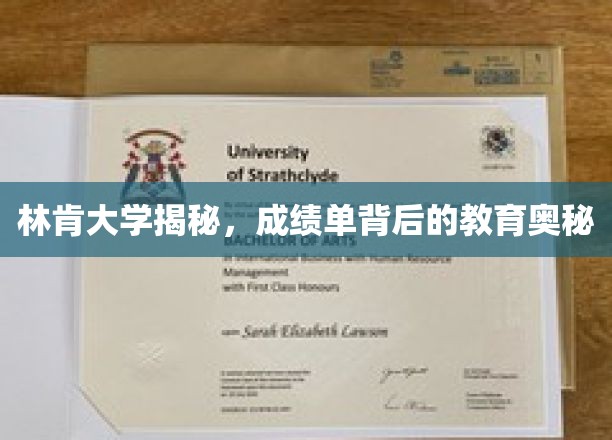 林肯大学探秘，揭秘成绩单背后的深层教育智慧