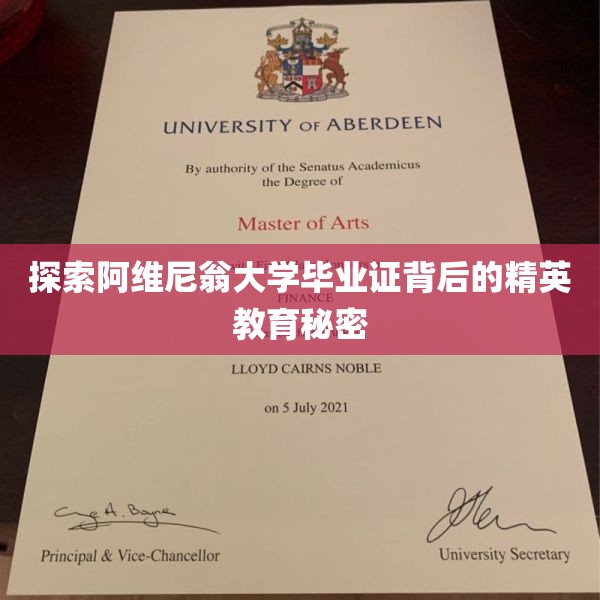 探索阿维尼翁大学毕业证背后的精英教育秘密