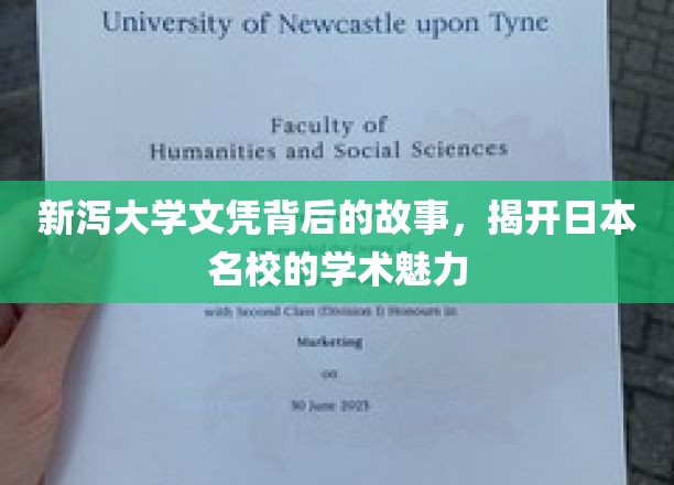 探寻新泻大学文凭背后的传奇，日本顶尖学府的学术风采揭秘