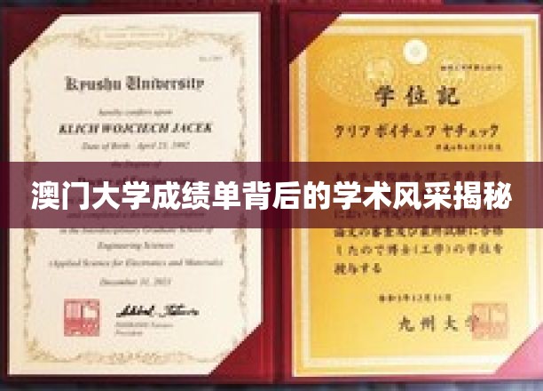 澳门大学成绩单，一窥学术成就的璀璨之光