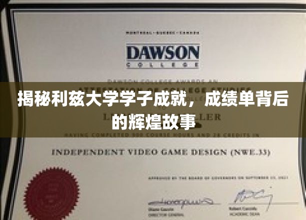 利兹精英风采，揭秘学子非凡成就背后的励志传奇