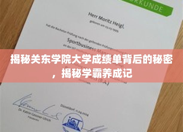探寻关东学院学霸养成之谜，成绩单背后的成长轨迹