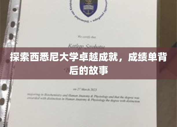 西悉尼大学辉煌足迹，揭秘学术巅峰背后的真实篇章